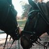 _jess_equestrian_