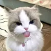 chrstnbllt18