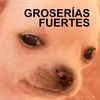 luisbetotorres