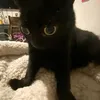 _sock23