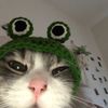 matterdoc