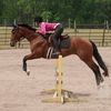 katelynm52024