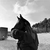 oliwia.miszczak