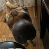 アーセニー