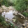 lovkoyan