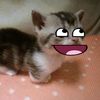 woopymopy