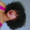 biabionica1