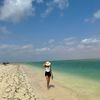 nourjerbi31