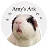 Amy’s Ark ♡