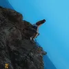 calypso_28