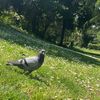 gebruiker638291
