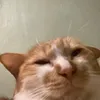 nguiiukimtaehyung