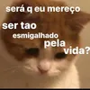 miy44tsum_