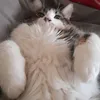 julieeeetaaaa