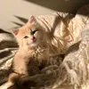 lovehotttmoms