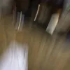 milolava