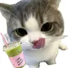 _saxhiii