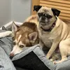 katie_jones02411