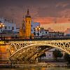 joseeltriana3