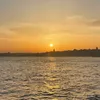 mominrizwan1