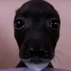 kaniel_otis69