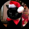 kailane_franc77