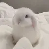 squishysunshine7