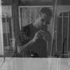 lavdimpireva_