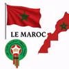 marcoma784
