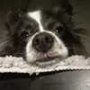 terrifictink
