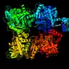 maturazbiologii