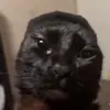 cxmerooni