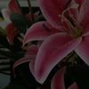 userwasfound373