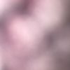 bidufbrjfj