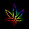 rainbowredkneck