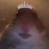 kiara.saraii