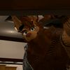 r_renrawr