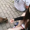 karolina.qa