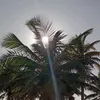 paulo_nandoofficial.1