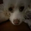 mommymilkerssss
