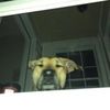 ugh_zoey