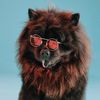 chocolate_chowchow