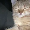 usernotfound202938
