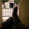 marciobarreto3