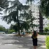 nayellibeltran27