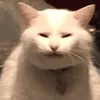 izmichellee