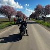 h_alex029