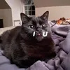 ktsharpey
