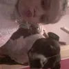 elliemaehollingsw