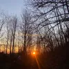 _sabrii__